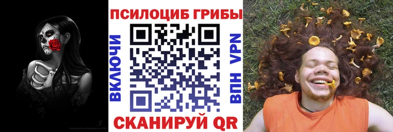 Галлюциногенные грибы Psilocybe  Рудня 
